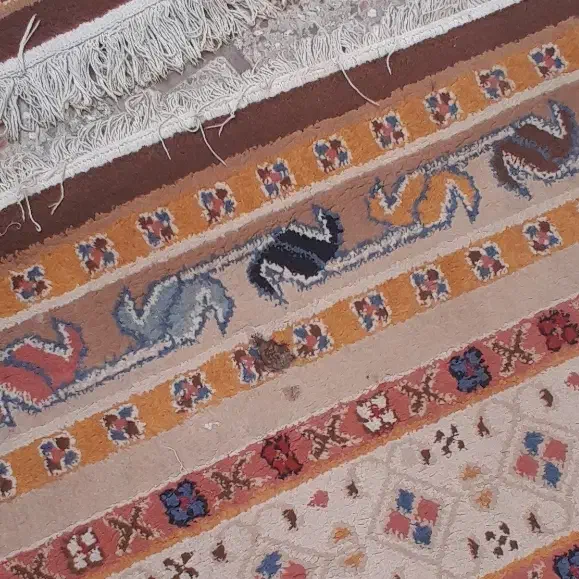 فرش ماشینی|فرش|تهران, تختی|دیوار