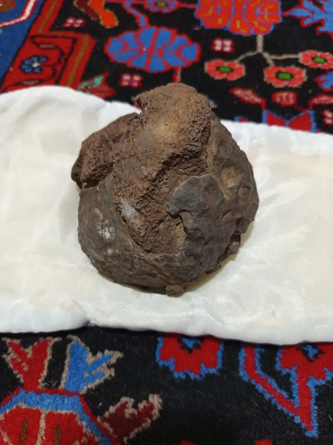 مشکوک به شهاب سنگ|کلکسیون اشیاء عتیقه|مهاجران, |دیوار