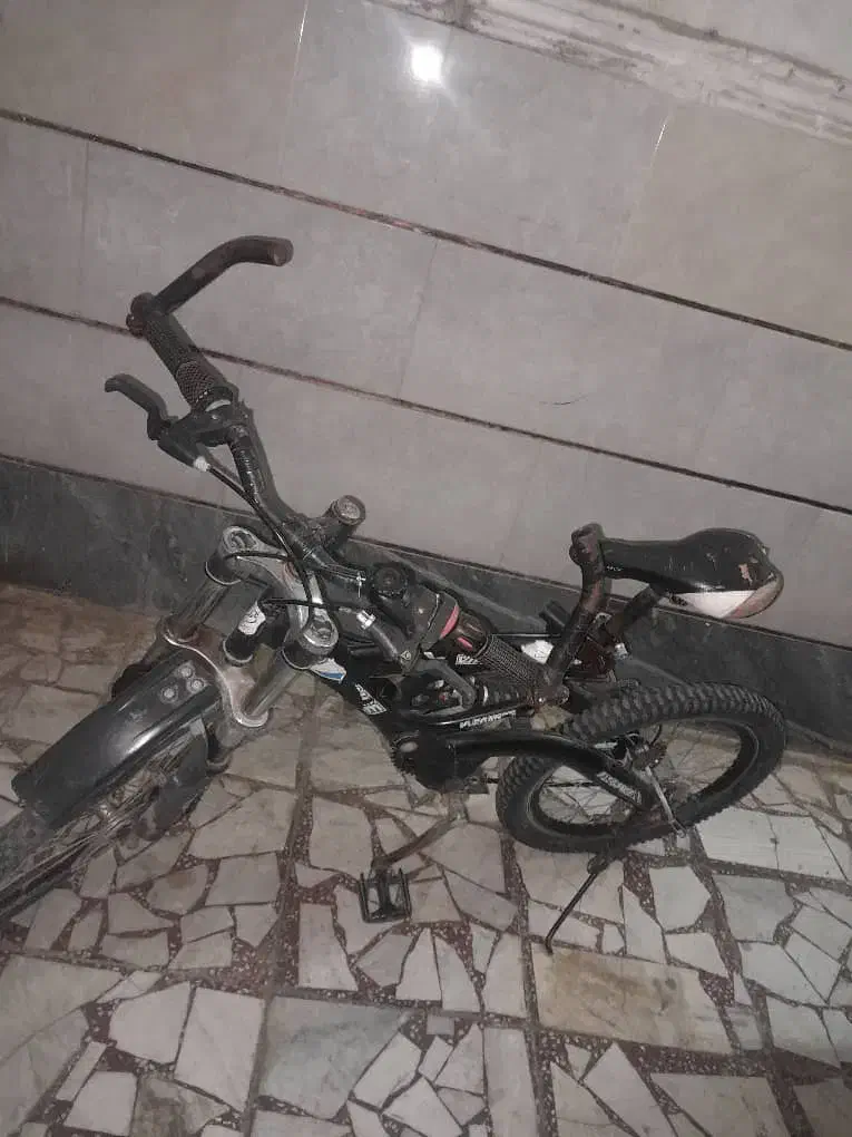 دوچرخه 24|دوچرخه، اسکیت، اسکوتر|گرگان, |دیوار