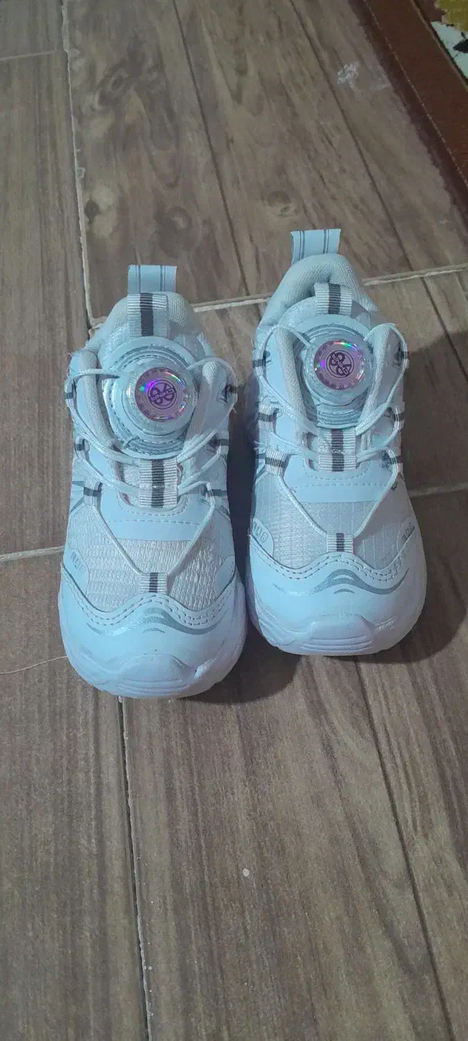 کفش کتانی|کیف، کفش، کمربند|الوند, |دیوار