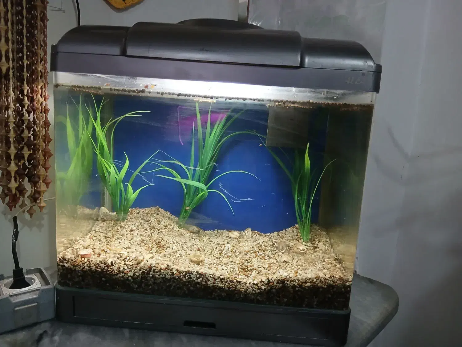 آکواریوم پلکسی|ماهی|صومعهسرا, |دیوار