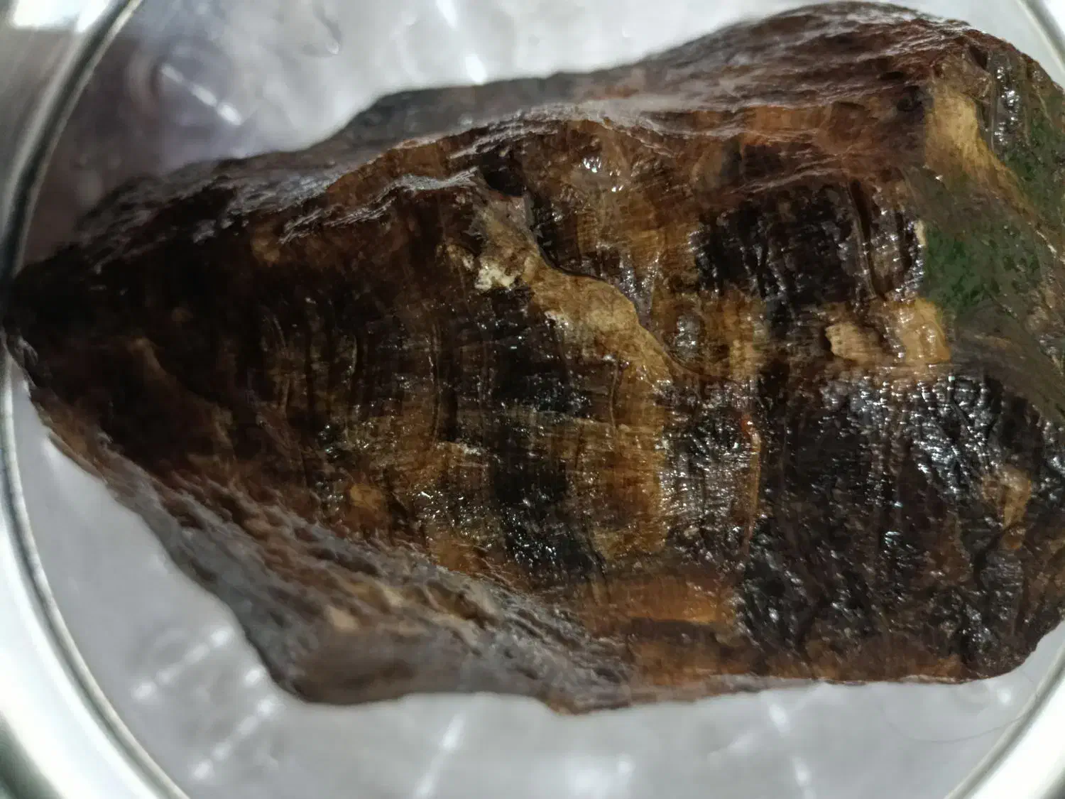 سنگ چوب فسیل شده|کلکسیون اشیاء عتیقه|خرمآباد, |دیوار