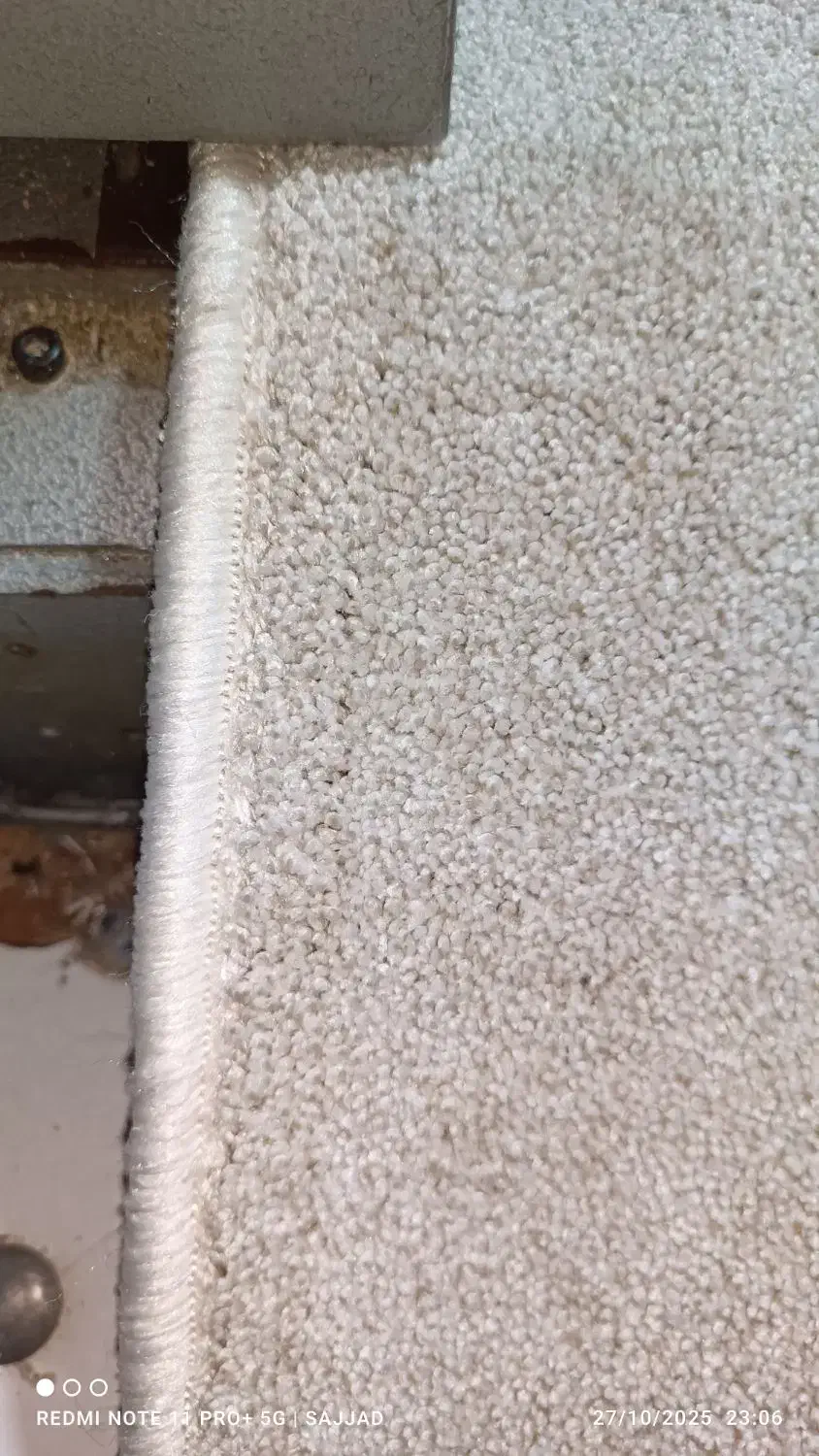 موکت با رنگ بندی|موکت|شوش, |دیوار