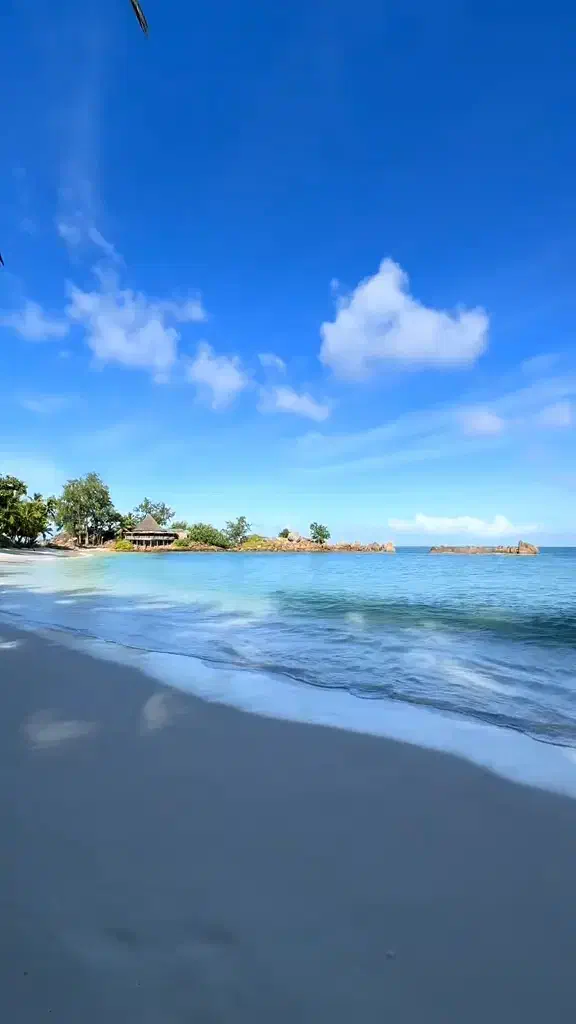 تورهای داخلی و خارجی|تور و چارتر|شیراز, حومه شیراز|دیوار