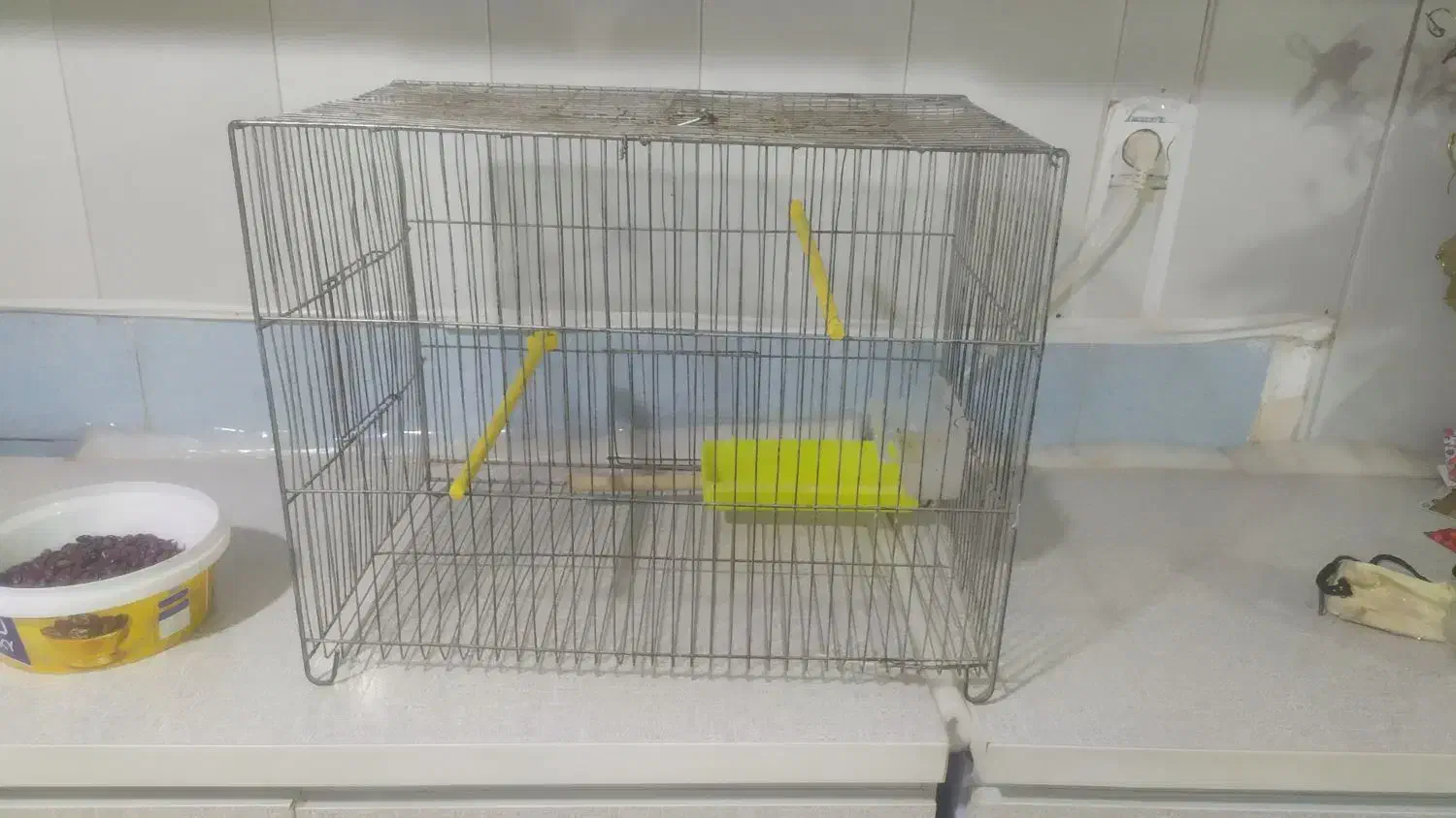 قفس قناری|لوازم جانبی حیوانات|اردبیل, |دیوار