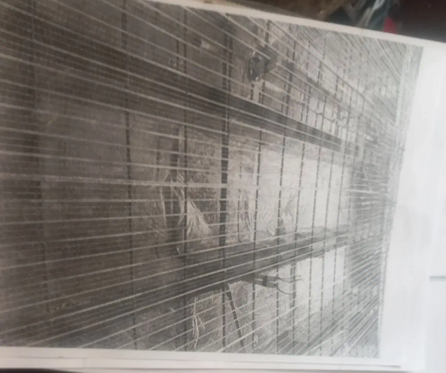 پروژهای تکمیل شده عمرانی و مشورت کردن|فعالیت داوطلبانه تحقیقاتی|کرمان, |دیوار