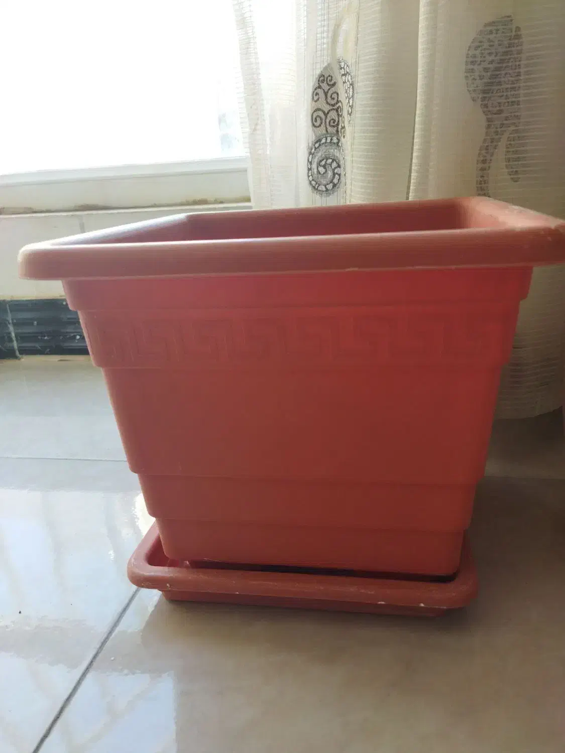 گلدان پلاستیکی وسرامیکی|گل و گیاه طبیعی|شیروان (خراسان), |دیوار