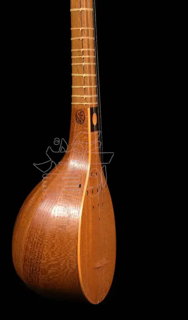 سه تار رامین جزایری|سازهای سنتی|تهران, فلسطین (میدان انقلاب)|دیوار