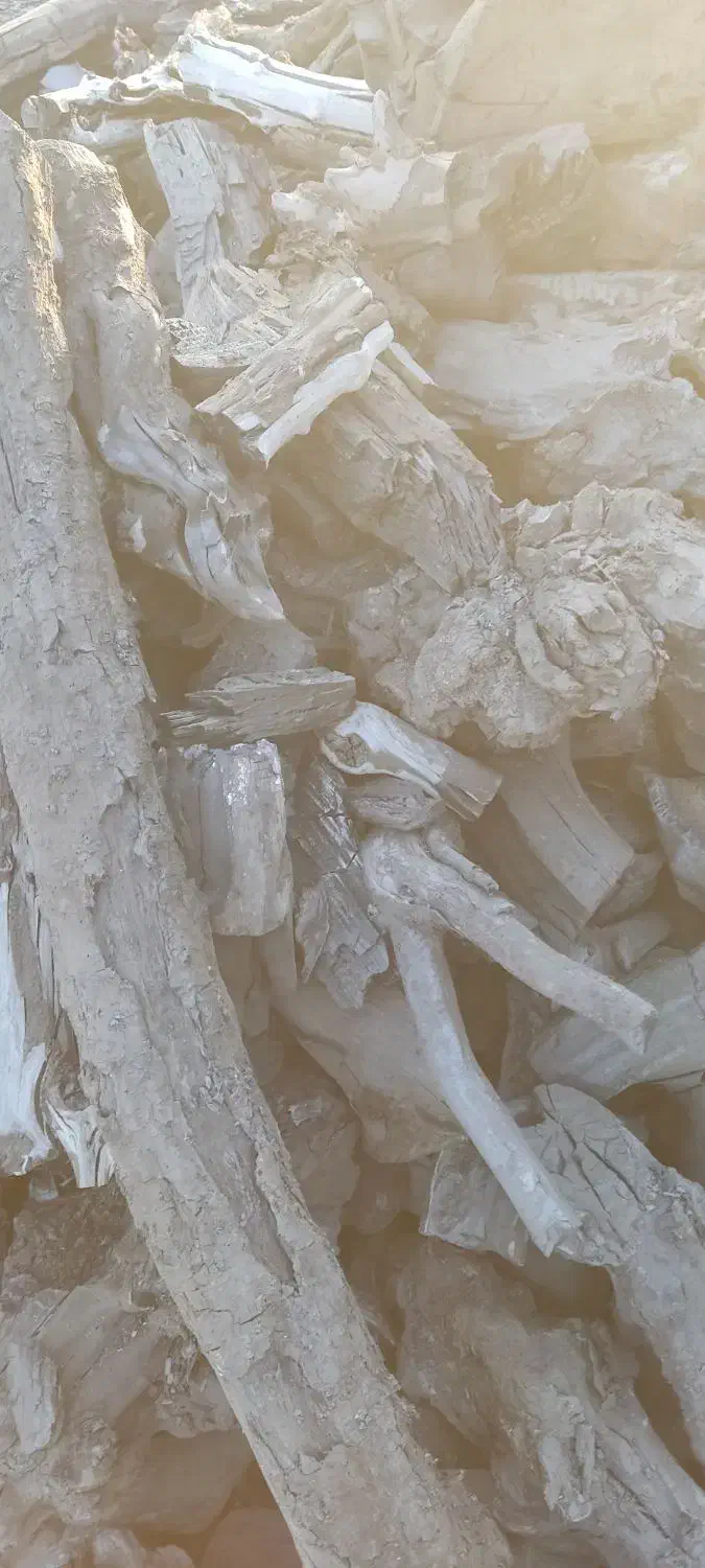 زغال کبابی|عمدهفروشی|یزد, |دیوار