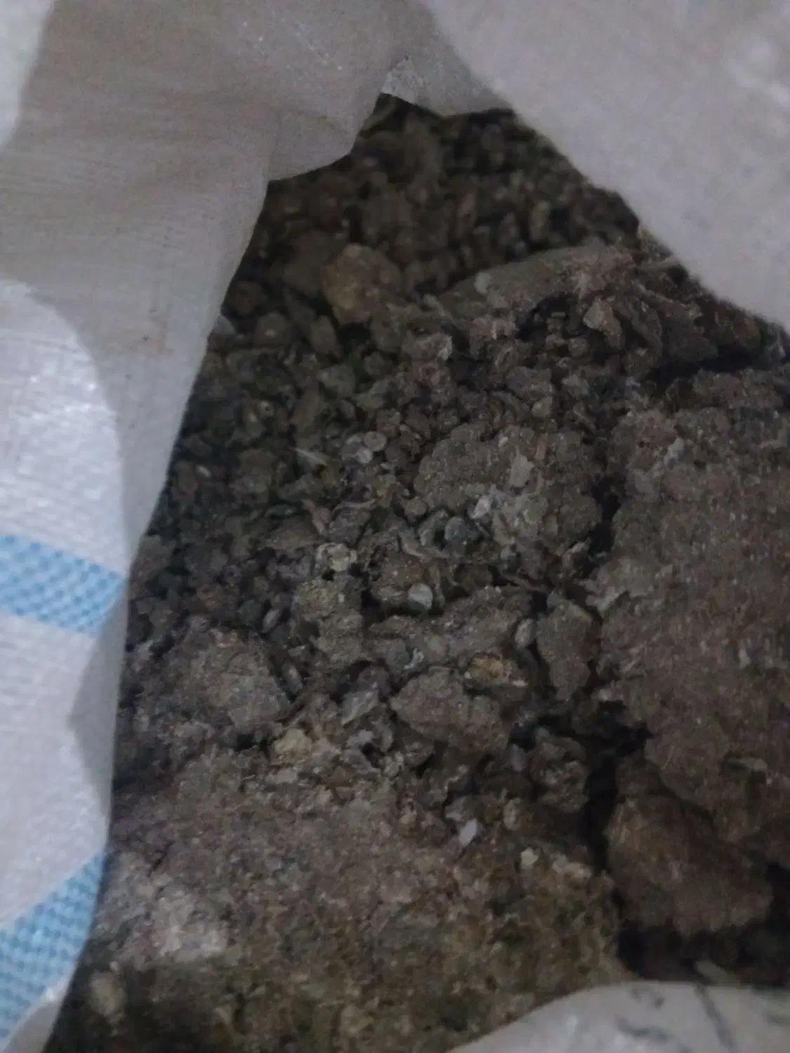 زیل کبوتر|خدمات باغبانی و درختکاری|تبریز, |دیوار