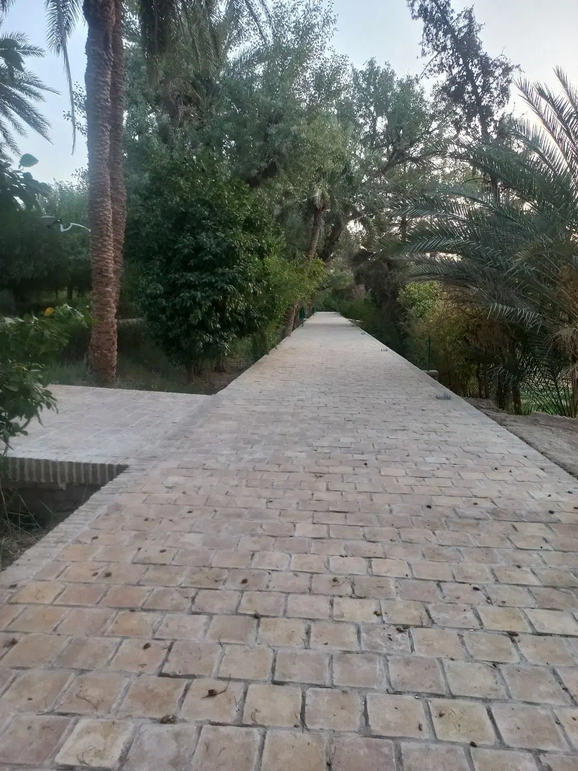 محوطه|اجارهٔ دفتر صنعتی، کشاورزی، تجاری|قائن, |دیوار