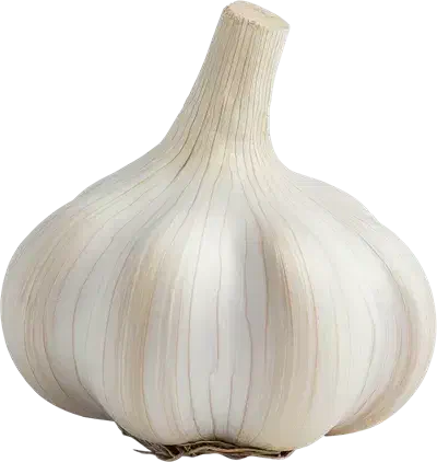 کاشت سیر|خدمات باغبانی و درختکاری|ملایر, |دیوار