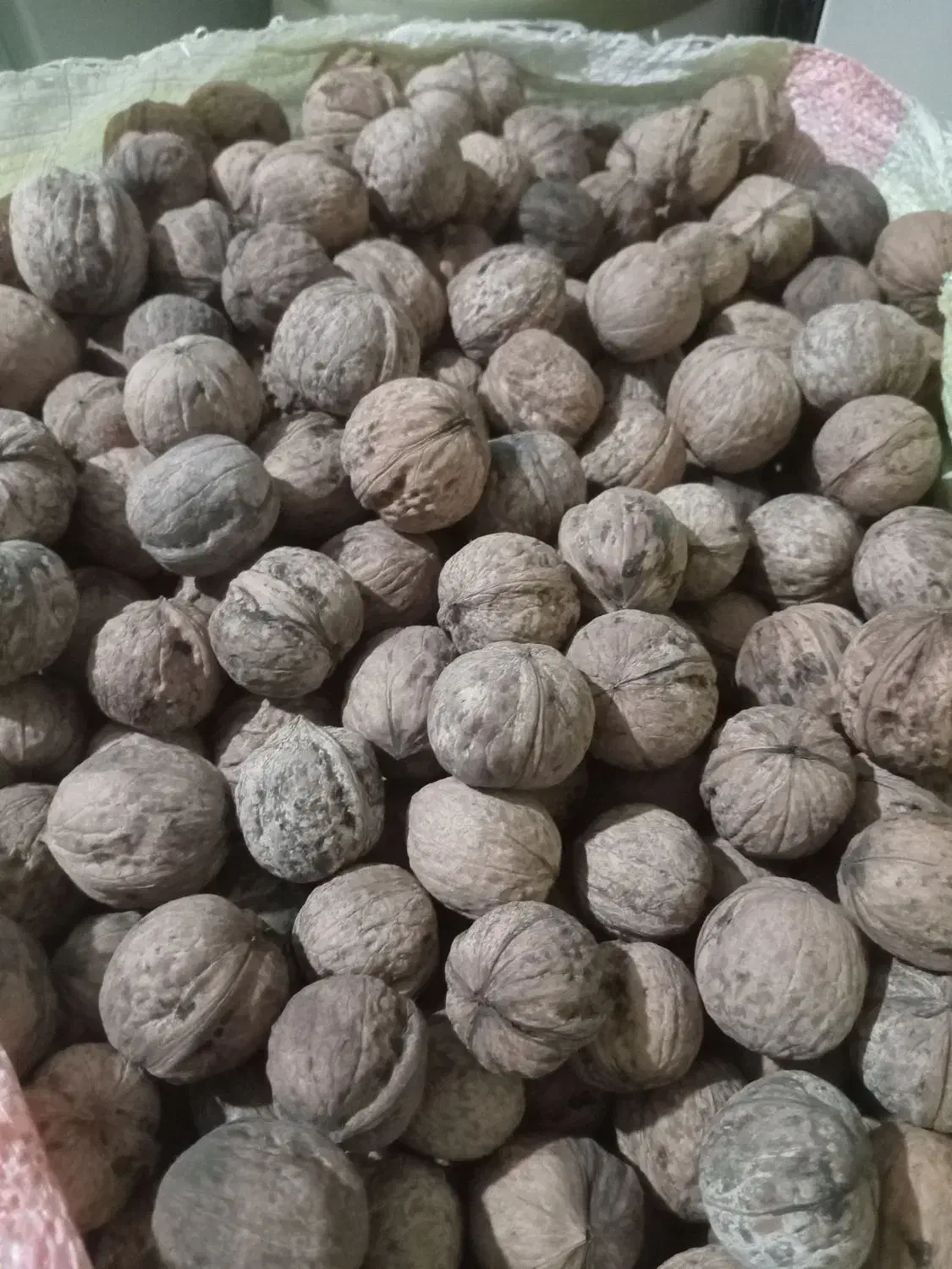 گردو محلی اورگانیک|خوردنی و آشامیدنی|کرج, حصارک بالا|دیوار