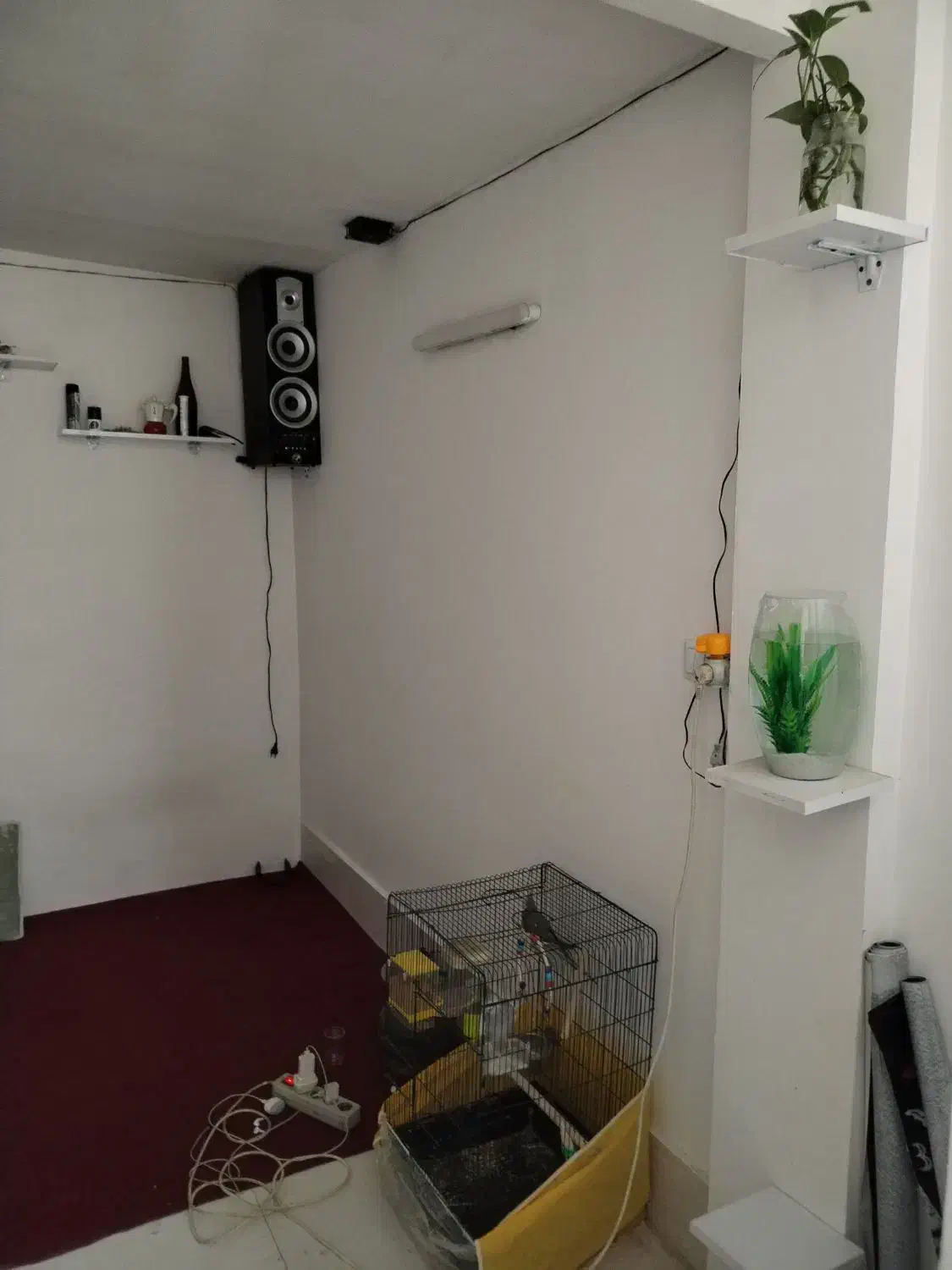 سوییت فروشی|فروش خانه و ویلا|مشهد, زیرکن|دیوار