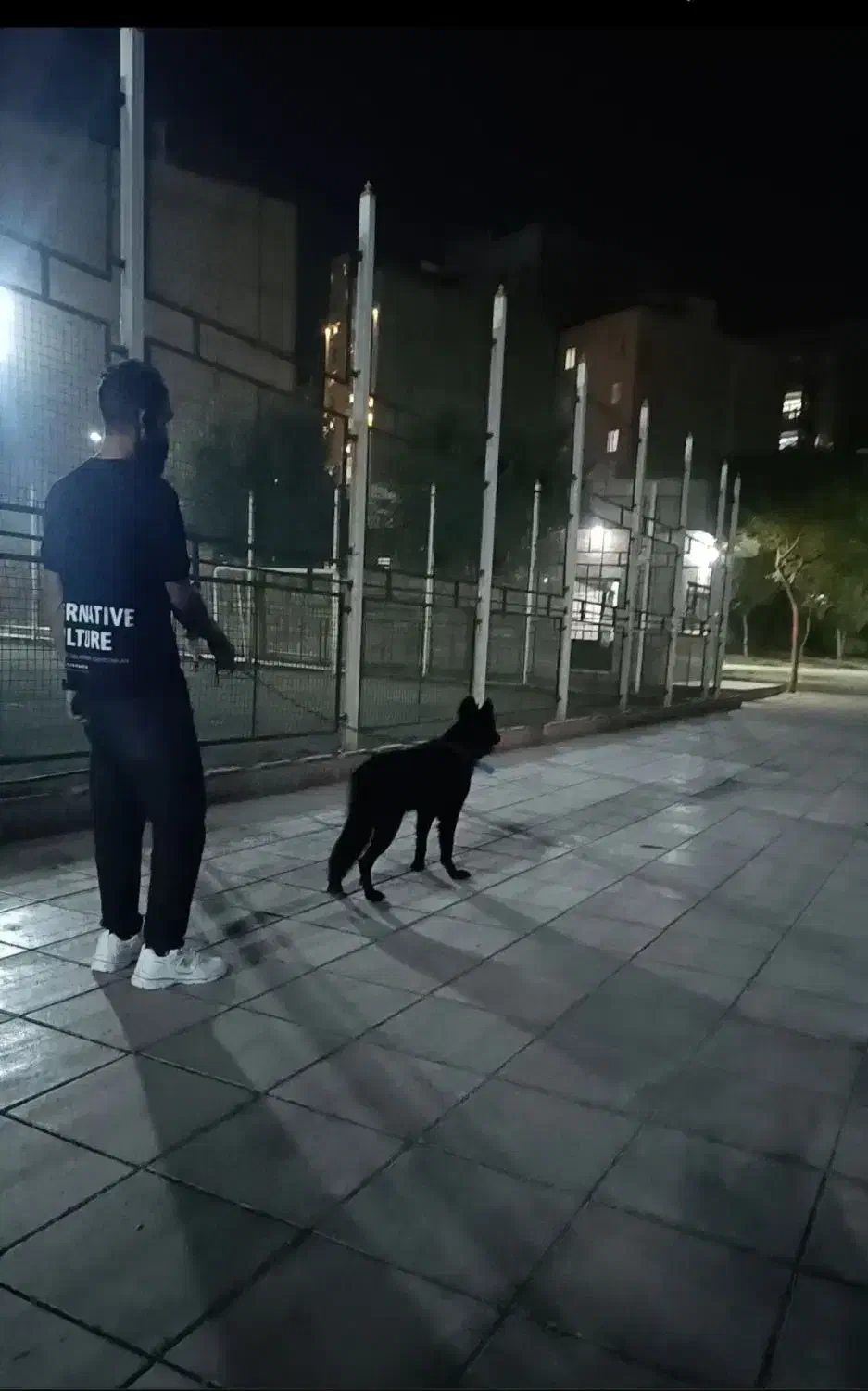 سگ ژرمن بلک نر ۹ماهه نژاد ورک لاین|سگ|بهارستان, |دیوار