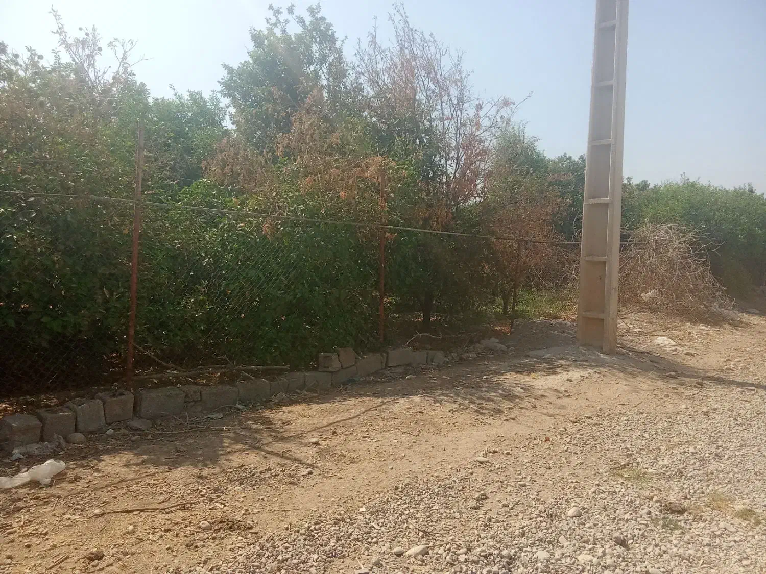 یک قطعه۶۰۰ متری باغ در اسکندر آباد|فروش خانه و ویلا|اندیمشک, |دیوار