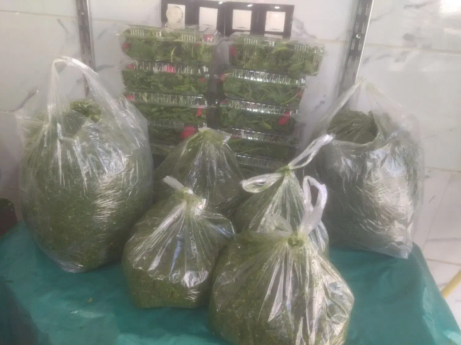 سبزینه سرا|خوردنی و آشامیدنی|قروه, |دیوار