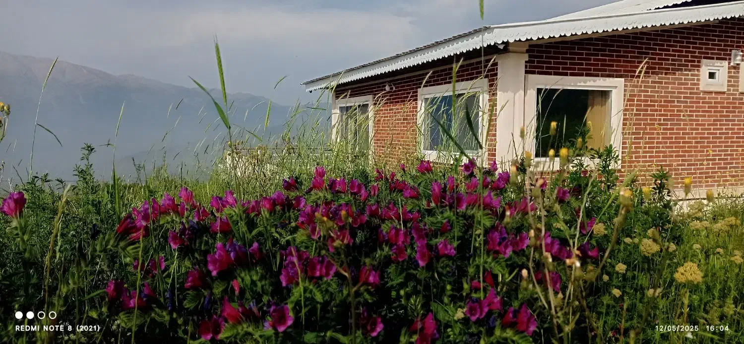 ویلای 150متری با زمین 2000متری درفک|فروش خانه و ویلا|برهسر, |دیوار