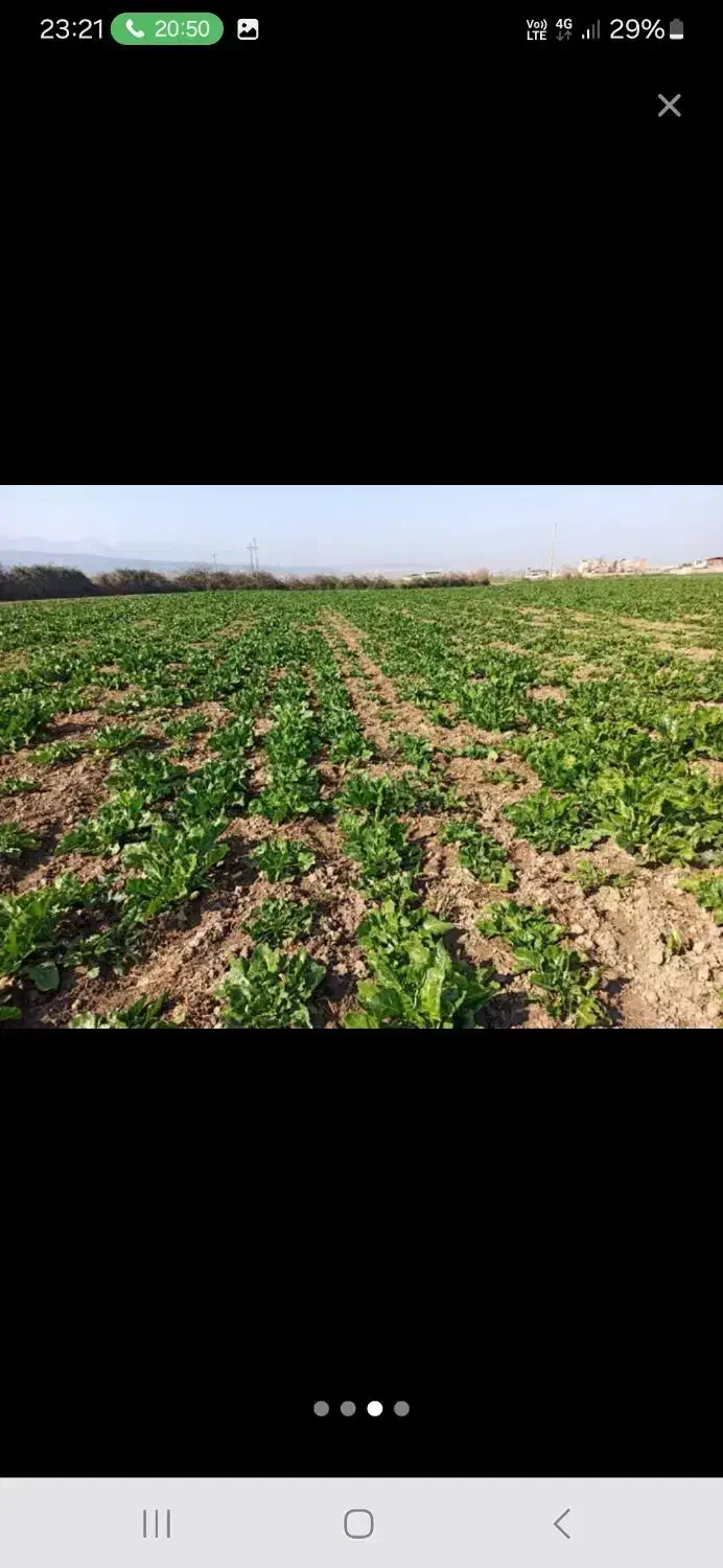 زمین ۵۰۰متر تا ۵۰۰۰متر در شهر جلین|فروش زمین و ملک کلنگی|فاضل آباد, |دیوار