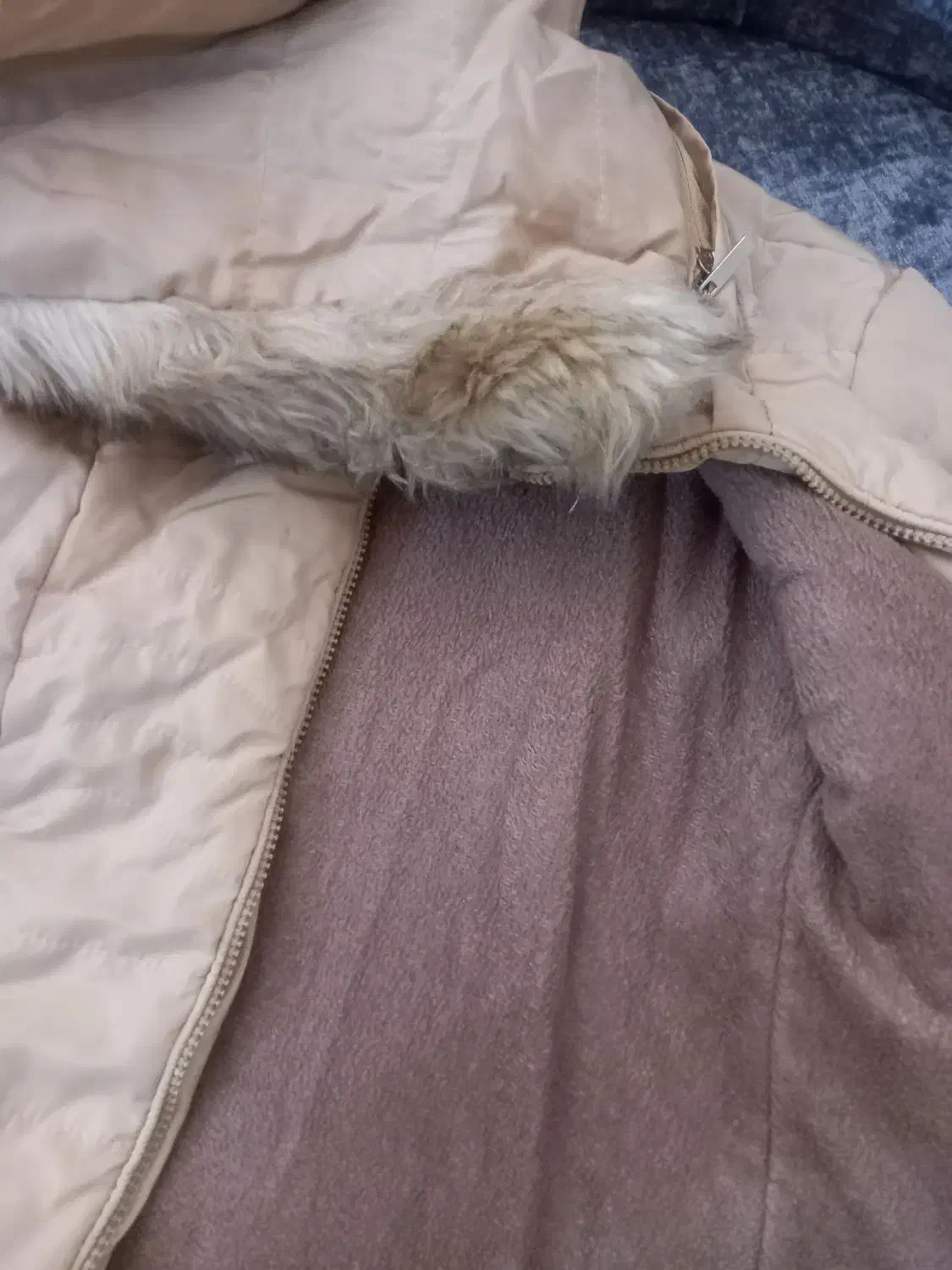 کت وپالتو|لباس|شاهین‌شهر, عطار|دیوار