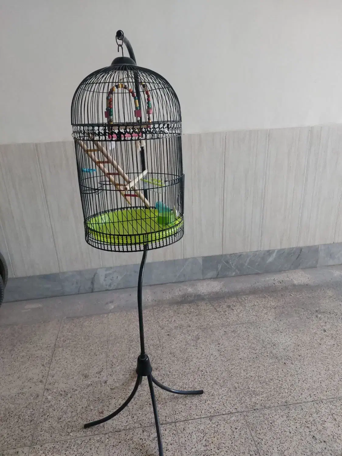 قفسه|لوازم جانبی حیوانات|شیروان (خراسان), |دیوار