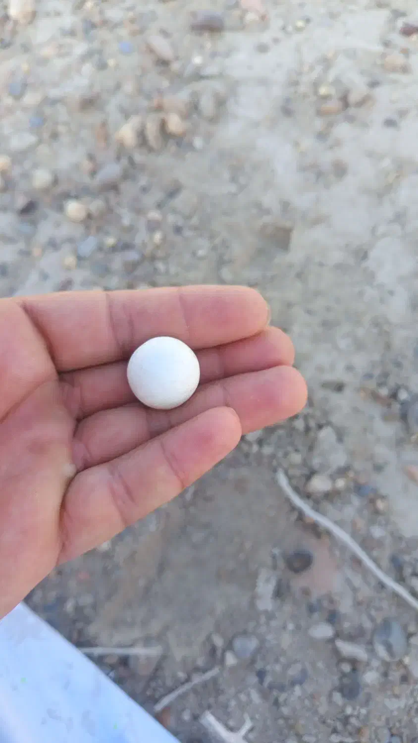 سنگ|جواهرات|نیمروز, |دیوار