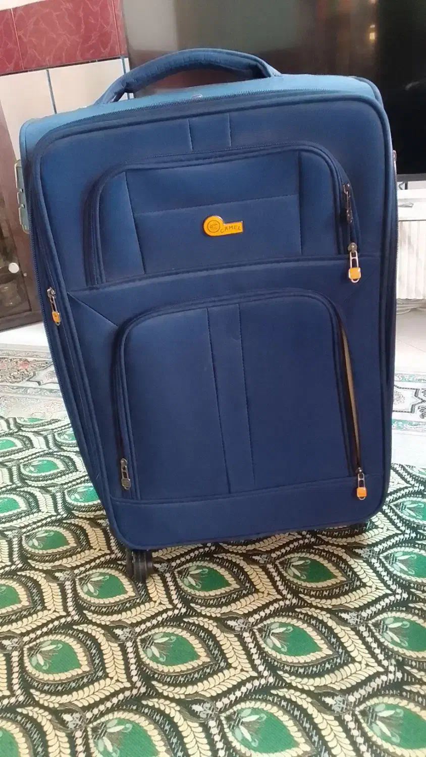 وسایل شخصی|کیف، کفش، کمربند|گلپایگان, |دیوار