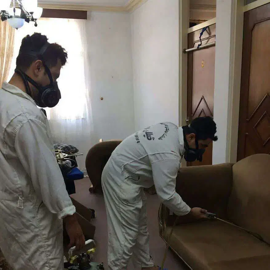 سم پاشی موریانه با قرص سم آلمانی سمپاشی ساس سوسک|خدمات نظافت|نجف‌آباد, شهدا|دیوار