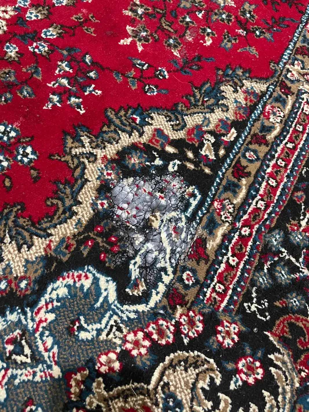 فرش ۶ متری|فرش|زنجان, |دیوار