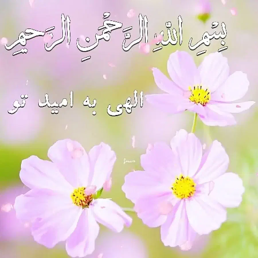 مشاوره و راهنمایی میخام|فعالیت داوطلبانه|کوهنانی, |دیوار