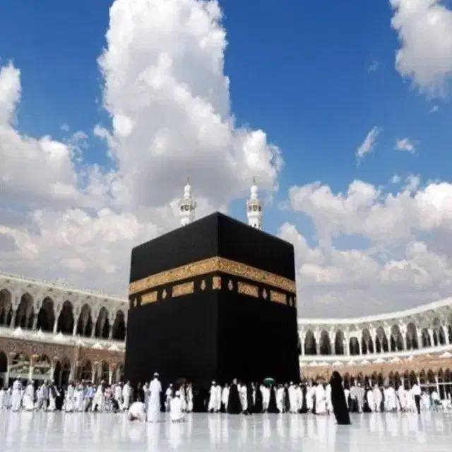 دو عدد فیش حج تمتع سال 85|تور و چارتر|تهران, دهقان|دیوار