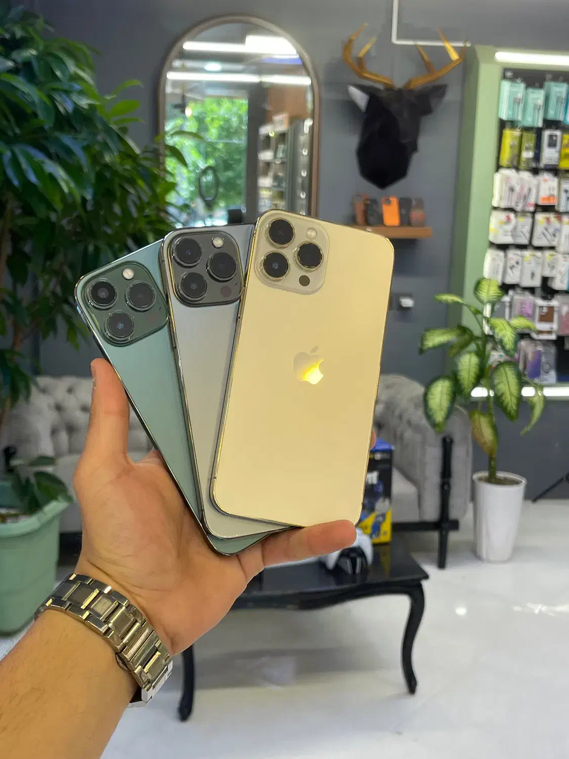 پرو مکسmalek vip.iPhone13.|موبایل|نیشابور, فردوس شمالی|دیوار