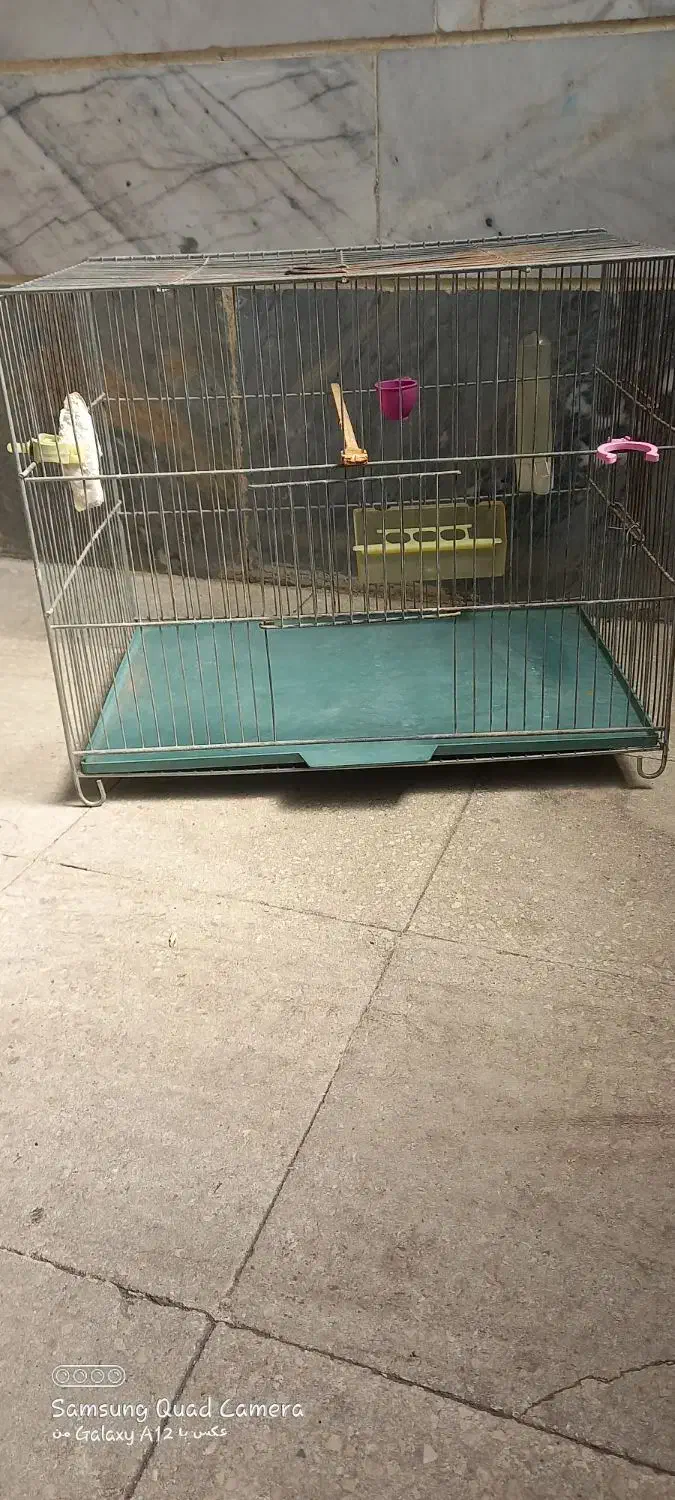 قفس بزرگ و کوچک|لوازم جانبی حیوانات|قزوین, |دیوار