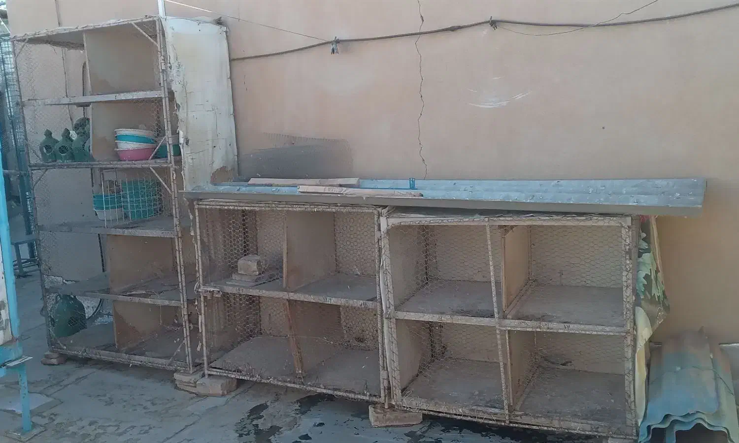 قفس کبوتر|لوازم جانبی حیوانات|سرخه, |دیوار