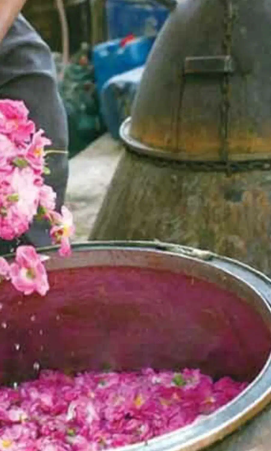 کارگر و فروشنده|استخدام خدمات فروشگاه و رستوران|کاشان, صنعت|دیوار