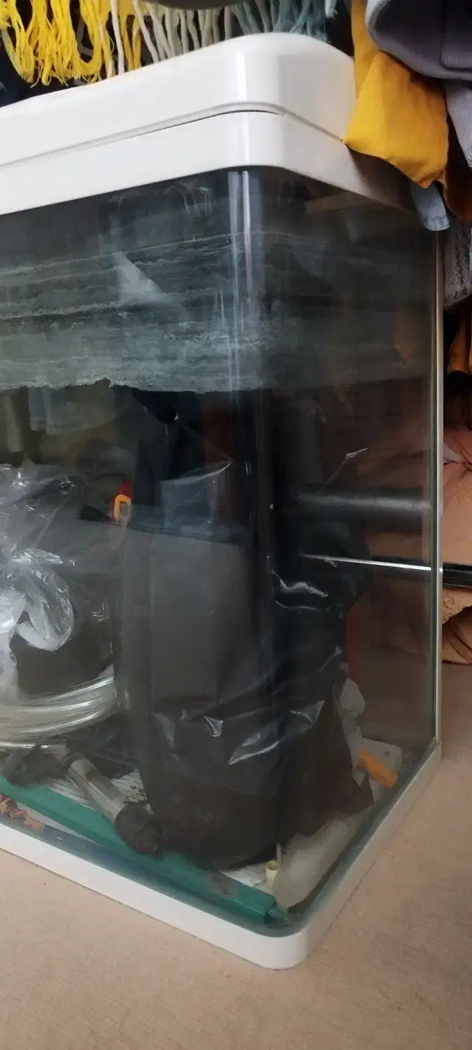 آکواریوم شیشه خم|ماهی|اسلام‌شهر, شهرک مهدیه|دیوار