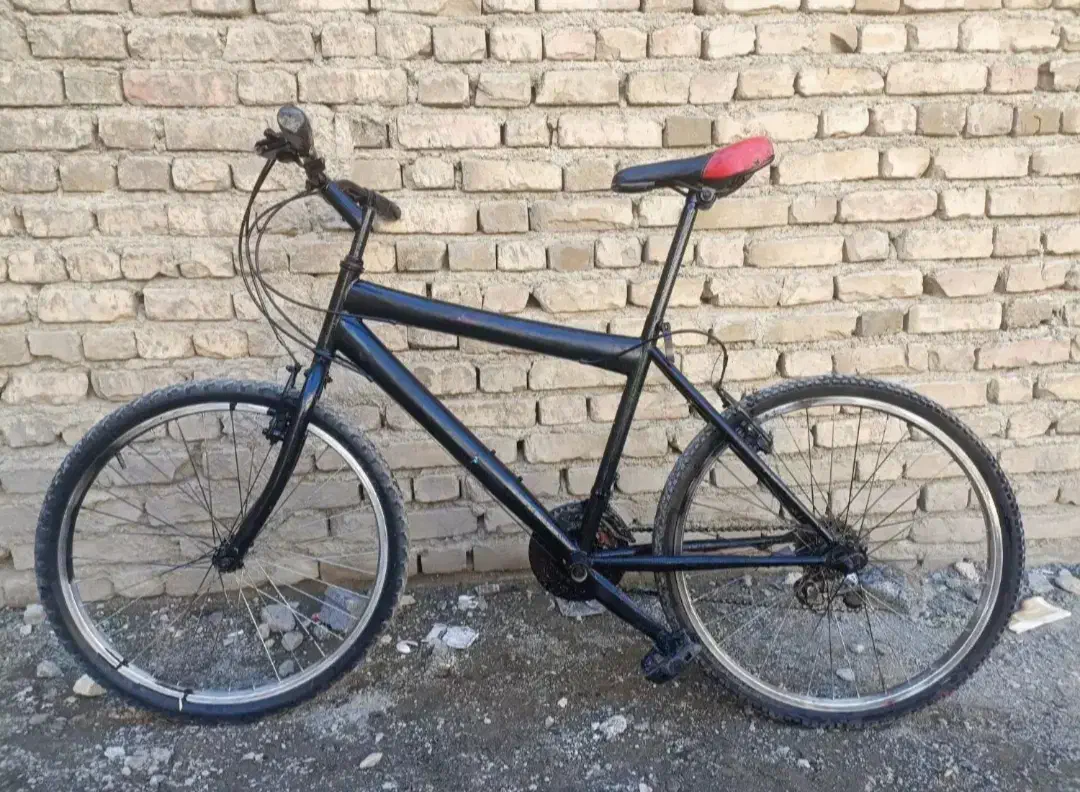 دوچرخه ۲۴ تنه کوتاه|دوچرخه، اسکیت، اسکوتر|سنندج, |دیوار