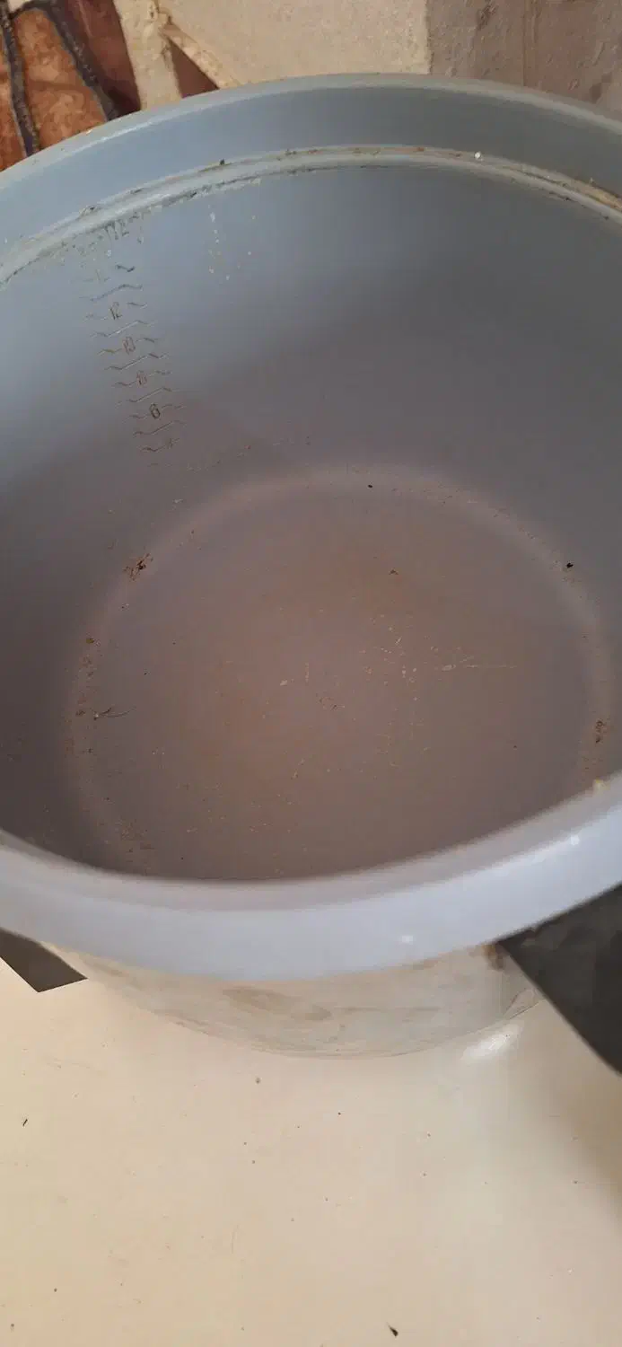 پلو پز نو|اجاق گاز و لوازم برقی پختوپز|مشهد, مشکینی (شهرک غرب)|دیوار