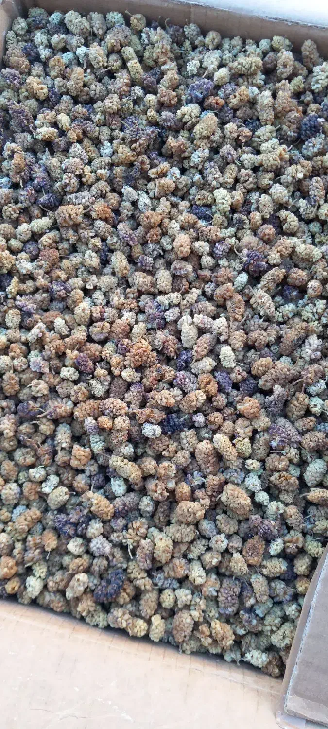 توت خشک امسال|خوردنی و آشامیدنی|تهران, گرگان|دیوار