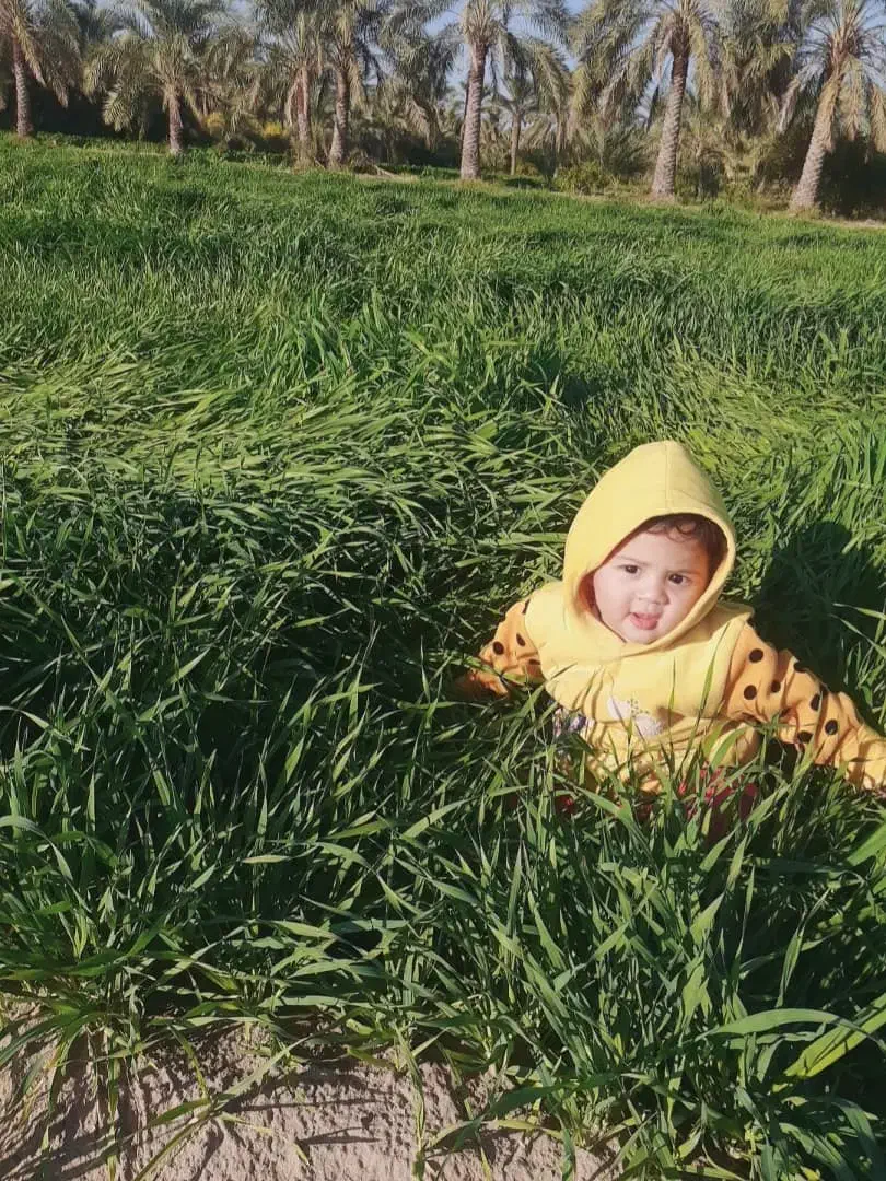 سلام زمین جهت کشاورزی|فروش دفتر صنعتی، کشاورزی، تجاری|عنبرآباد, |دیوار