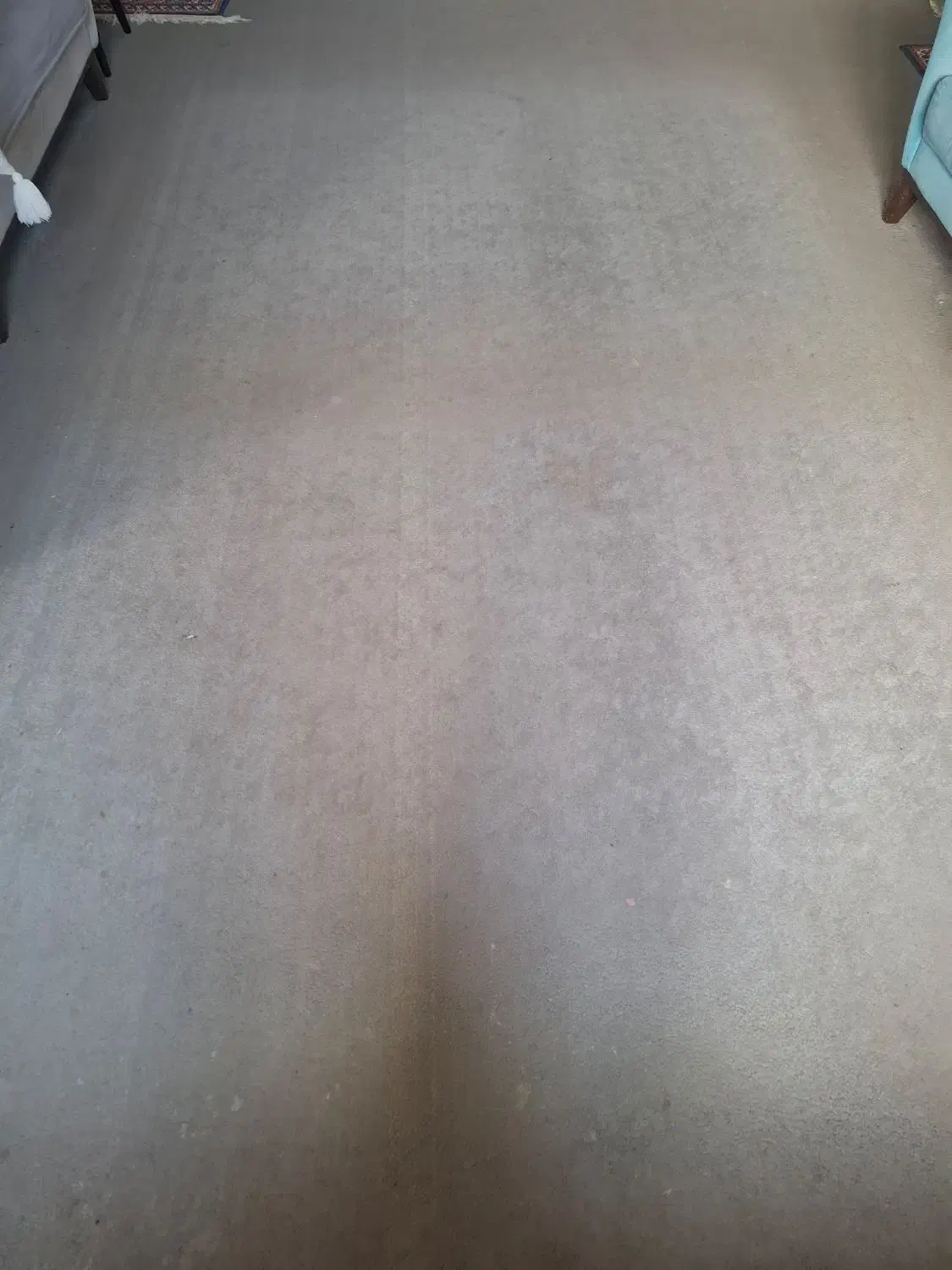 پالازموکت رنگ خاکستری|موکت|بوشهر, |دیوار