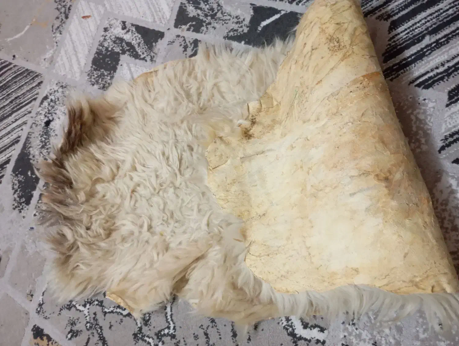 پوست دباغی گوسفند|صنایع دستی و سایر لوازم تزئینی|ری, عباسآباد|دیوار