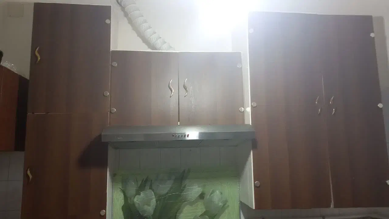 هود اخوان|هود|قم, عمار یاسر|دیوار