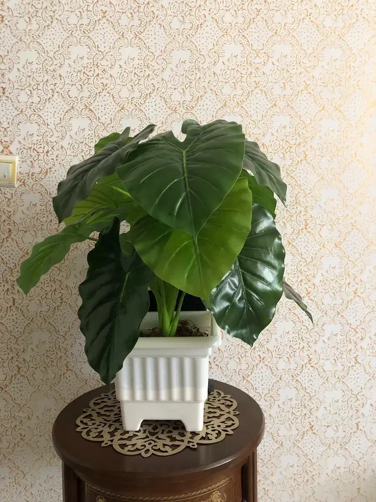 گل و گلدان|گل مصنوعی|همدان, |دیوار