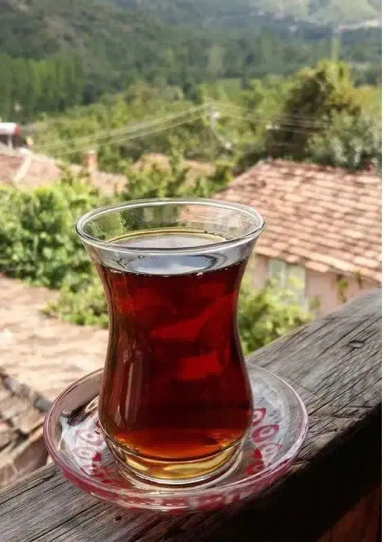 عرضه چای قلم بهاره|خوردنی و آشامیدنی|املش, |دیوار