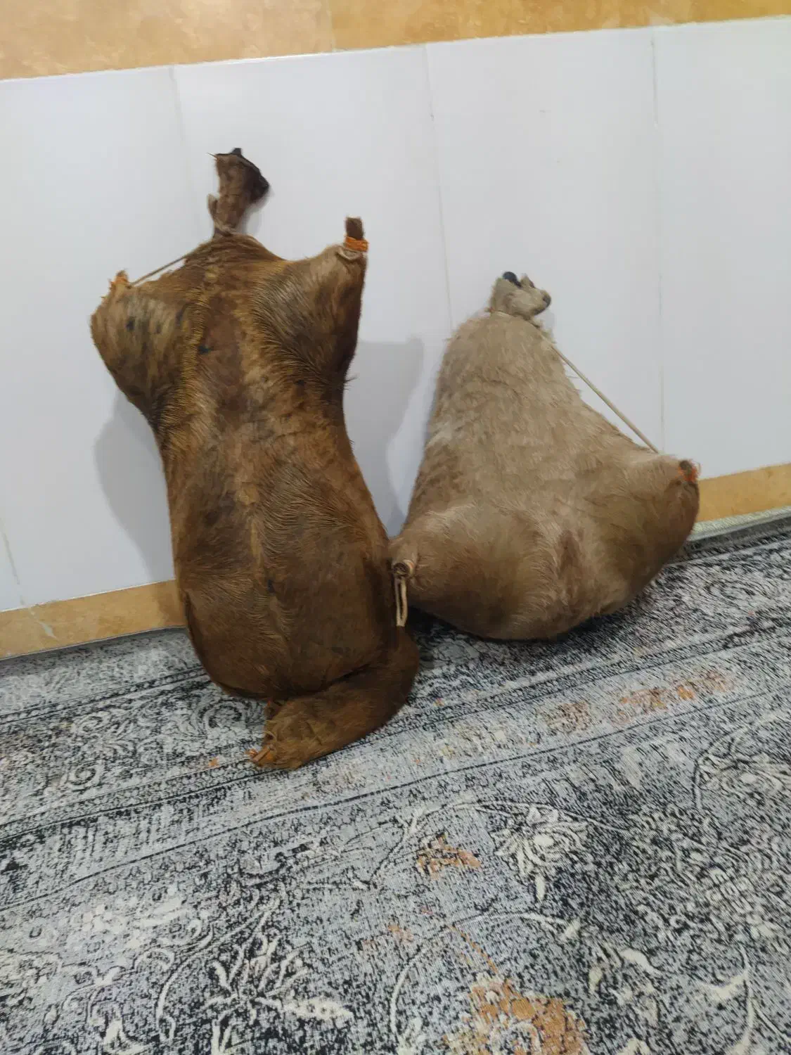 هیزه نو فروش|عمده‌فروشی|نورآباد, |دیوار