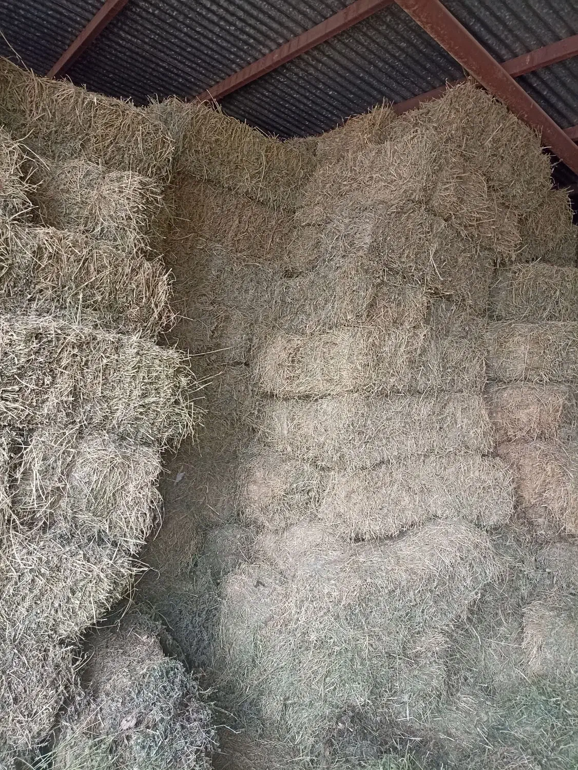 یونجه خشک انباری|خدمات باغبانی و درختکاری|ایوان, |دیوار