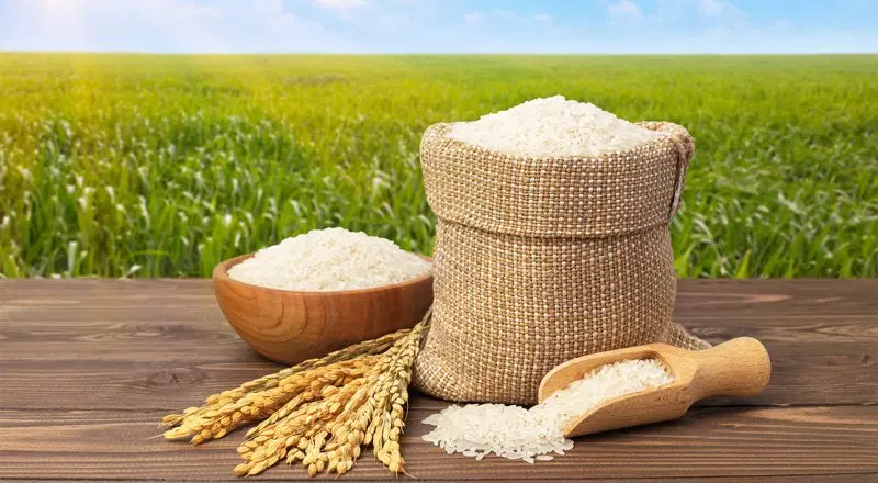 برنج طارم هاشمی تجاری مازندران سورت شده بدون واسطه|خوردنی و آشامیدنی|تهران, شهرک غرب|دیوار
