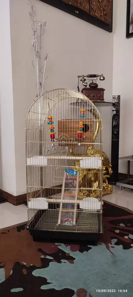 قفس عروس|لوازم جانبی حیوانات|تهران, جنتآباد جنوبی|دیوار