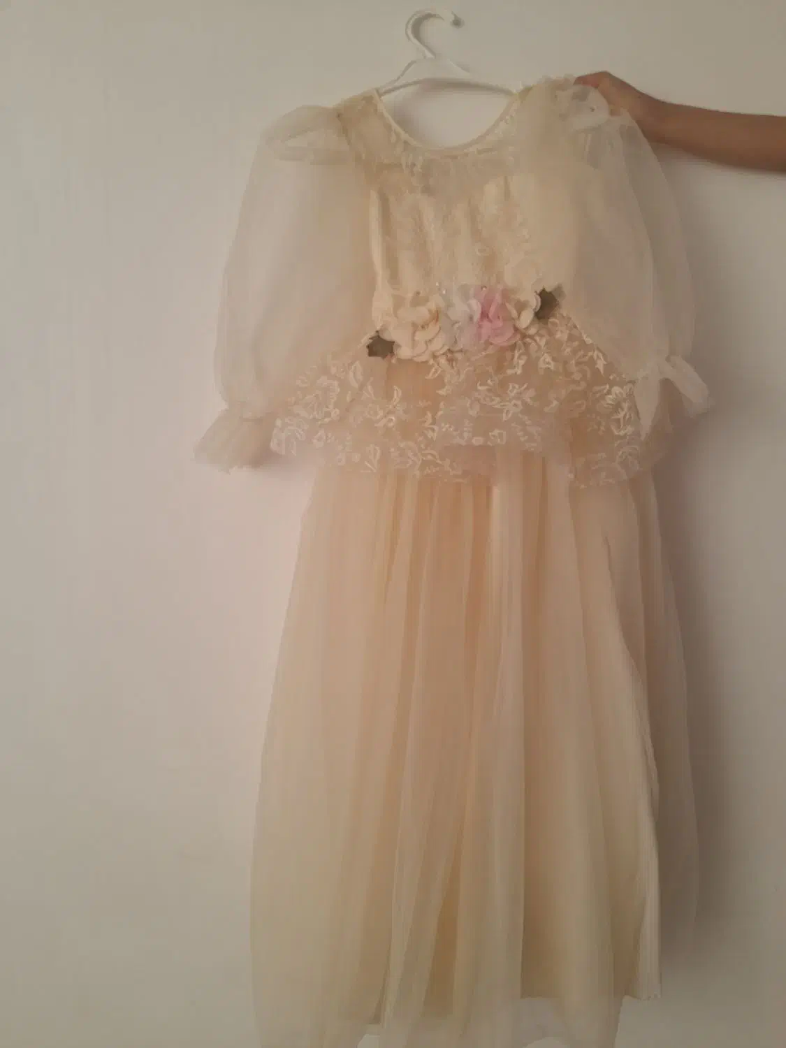 مجلس|پخش‌کننده DVD و ویدیو|سبزوار, رضوی|دیوار